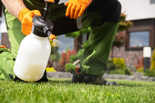 Best Cockroach Control Services  in Hurstbourne, KY