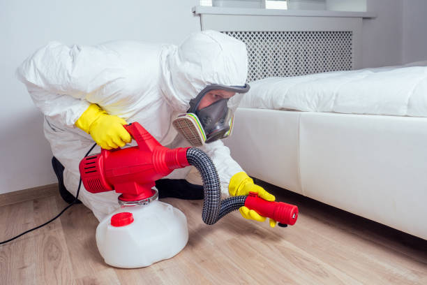Reliable Hurstbourne, KY Pest Control Solutions