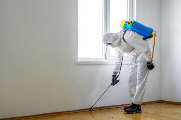 Best Exterminator Services  in Hurstbourne, KY