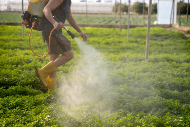 Best Affordable Pest Control Services  in Hurstbourne, KY
