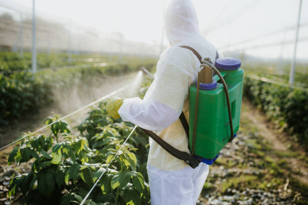 Best Pest Control Near Me in Hurstbourne, KY